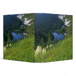 Alpine Wildflowers in the Jewel Basin in the binders