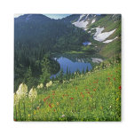Alpine Wildflowers in the Jewel Basin in the Fridge Magnets