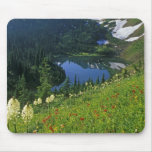 Alpine Wildflowers in the Jewel Basin in the Mousepad