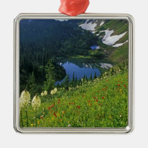 Alpine Wildflowers in the Jewel Basin in the Christmas Ornament