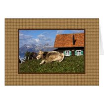 Alps cards