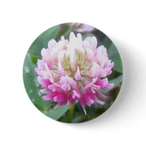 Alsike Clover Blossom 1 Button