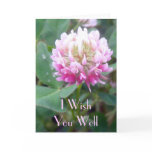 Alsike Clover Blossom 1 Greeting Card