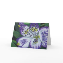Alstroemeria Greeting Card