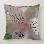 Alstroemeria Flower American Mojo Cushion/Pillow