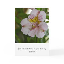 Alstroemeria Flower Condolence Card