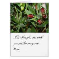 Alstroemeria Flower Condolence Card