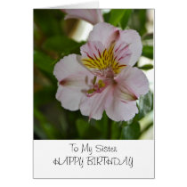 Alstroemeria Flower Happy Birthday  Card