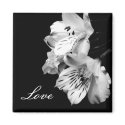 Alstroemeria Lily Love Magnet by indolilly Alstroemeria Lily Love Magnet