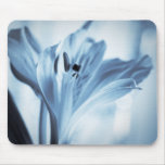 Alstroemeria Mouse Pads