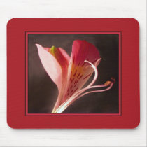 Alstroemeria Mousepad
