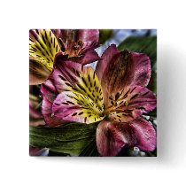 Alstroemeria Peruvian Lily flower button pin