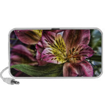 Alstroemeria Peruvian Lily flower Doodle speaker speakers