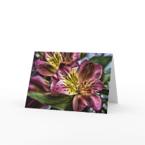Alstroemeria Peruvian Lily flower greetings card cards