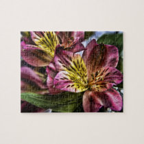 Alstroemeria Peruvian Lily flower jigsaw puzzle puzzles