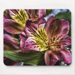 Alstroemeria Peruvian Lily flower mouse mat Mousepad