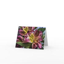 Alstroemeria Peruvian Lily flower note card cards