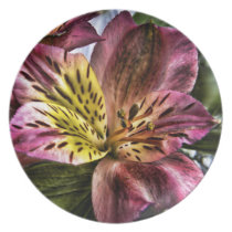 Alstroemeria Peruvian Lily flower plate plates