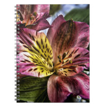 Alstroemeria Peruvian Lily flower spiral notebook notebooks