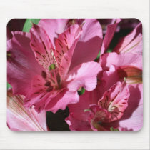 Alstroemeria Pink Flower Mouse Pad