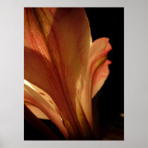 Alstroemeria Print