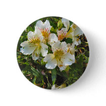 alstroemeria pretty flowers pin buttons