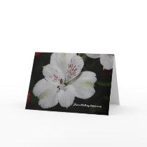Alstroemeria Silver Wedding Anniversary Card