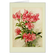Alstromeria Greeting Card