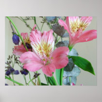 Alstromeria Print