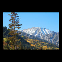 Alta Peak posters by Orchidlady Alta Peak posters
