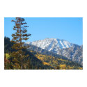 Alta Peak posters by Orchidlady Alta Peak posters