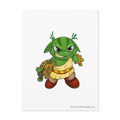Altador Team Captain 2 Postcard by neopets