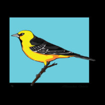 ALTAMIRA ORIOLE t-shirts by GRACEVISIONS ALTAMIRA ORIOLE t-shirts