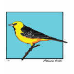 ALTAMIRA ORIOLE T-SHIRT
