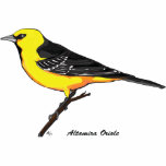 ALTAMIRA ORIOLE TEE SHIRT