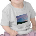 Altamont Windmills California Products Tshirts