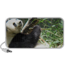 Altavoces de la panda y del bambú