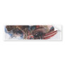 alter-ego bumper stickers