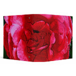Altered Art Urban Decorative Pink Rose Design 3 Ring Binder