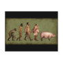 Altered Evolution Postcards