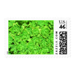 Altered Lime Floral Succulents Postage
