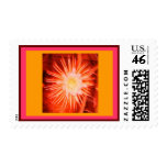 Altered Orange Cactus Flower Postage