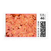 Altered Orange Floral Succulents Postage postage by JuJuGardens Altered Orange Floral Succulents Postage postage