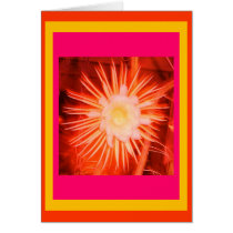 Altered Peach Cactus Flower cards