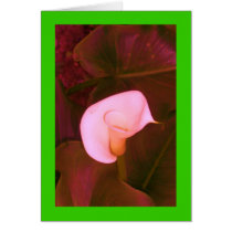 Altered Pink Arum Lily on Lime cards