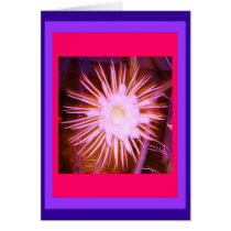 Altered Pink Cactus Flower cards
