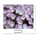 Altered Primrose posters by squeaks77 Altered Primrose posters