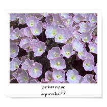 Altered Primrose posters by squeaks77 Altered Primrose posters