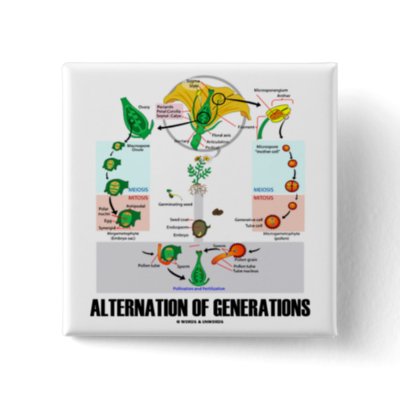 alterations of generations of plants. site for fast plants is a