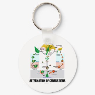 Alternation Of Generations (Flower Life Cycle) keychain